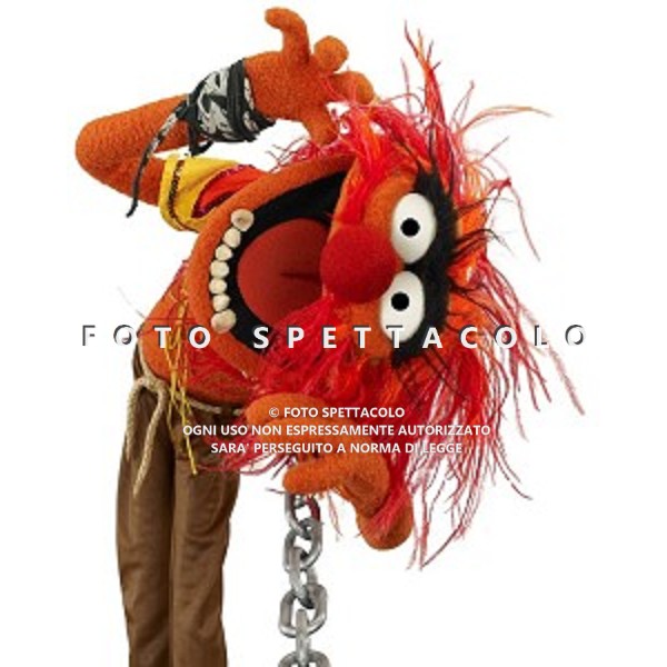 I Muppet - Animal in una foto promozionale