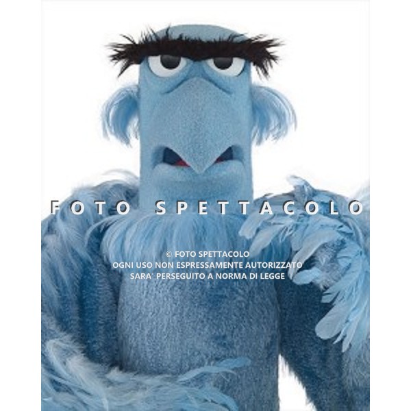 I Muppet - Sam in una foto promozionale