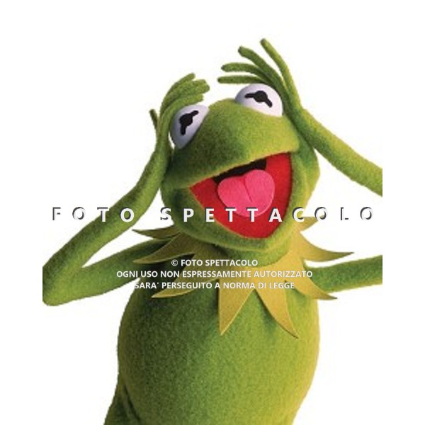 I Muppet - Kermit in una foto promozionale