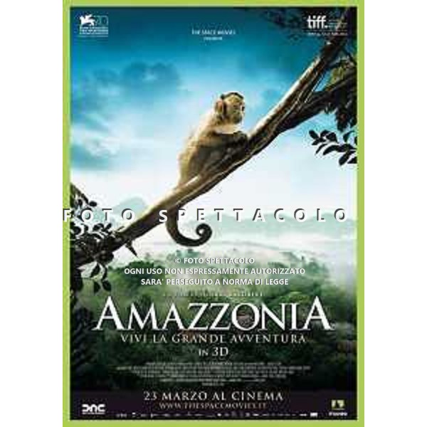 Amazzonia - Locandina Film ©The Space Movies